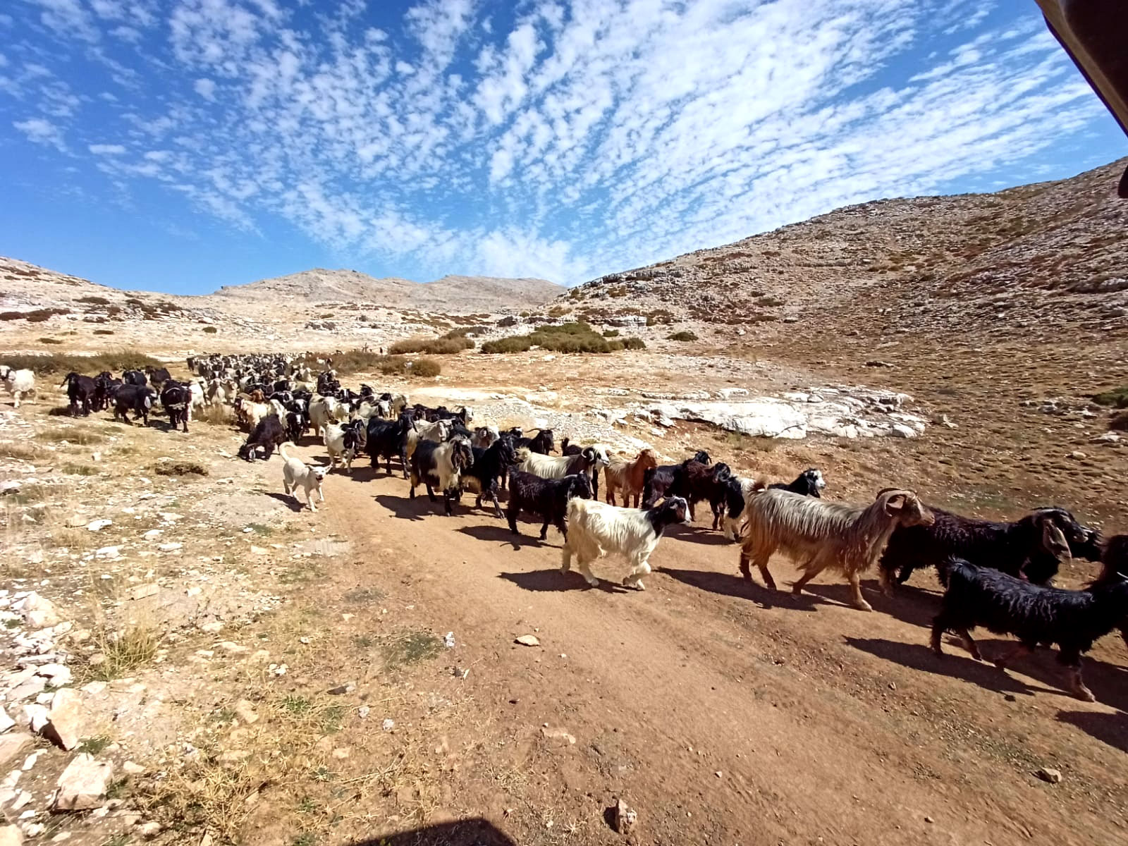 Rural-Agricultural-Heritage