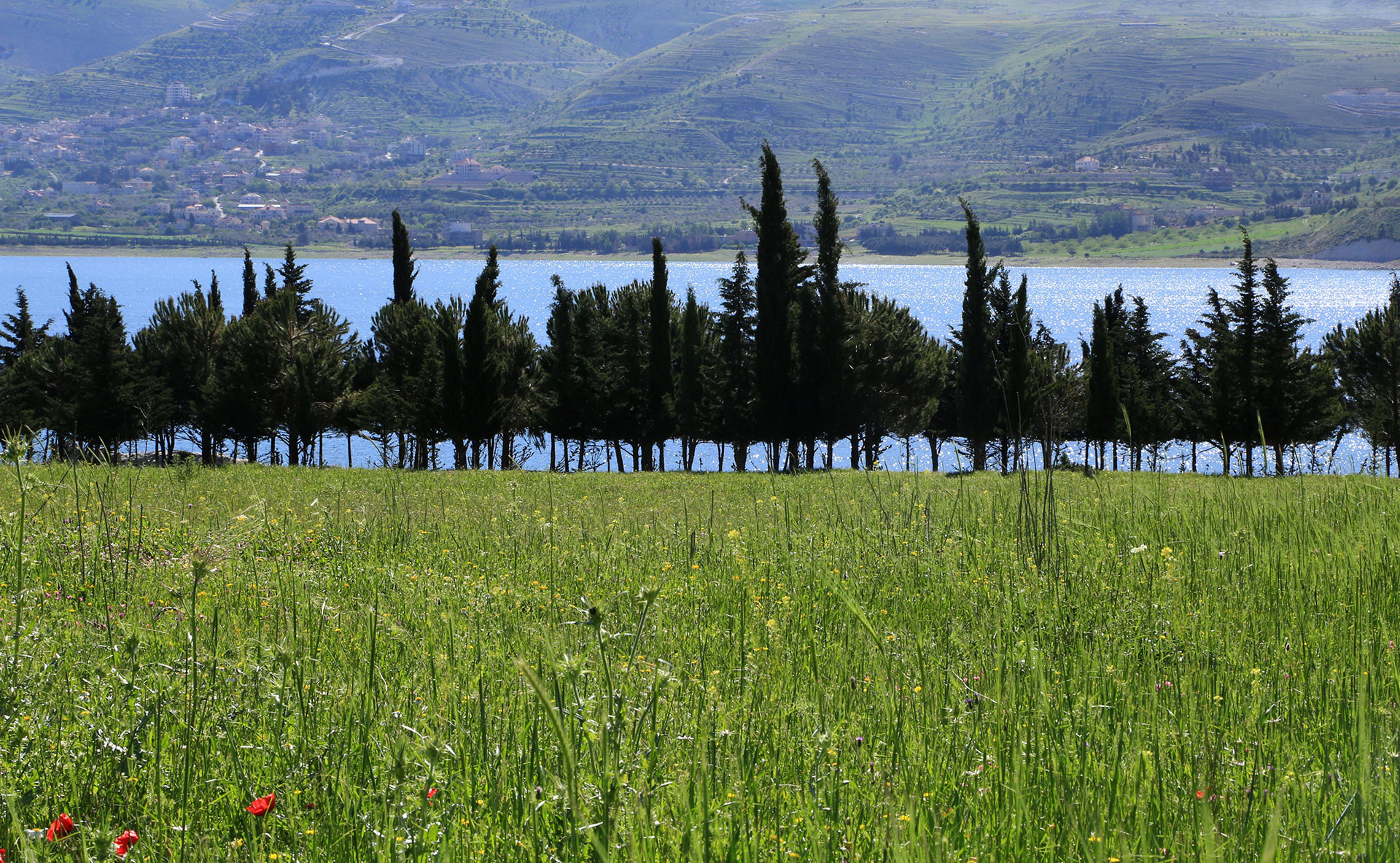 Cultural-Landscapes-3