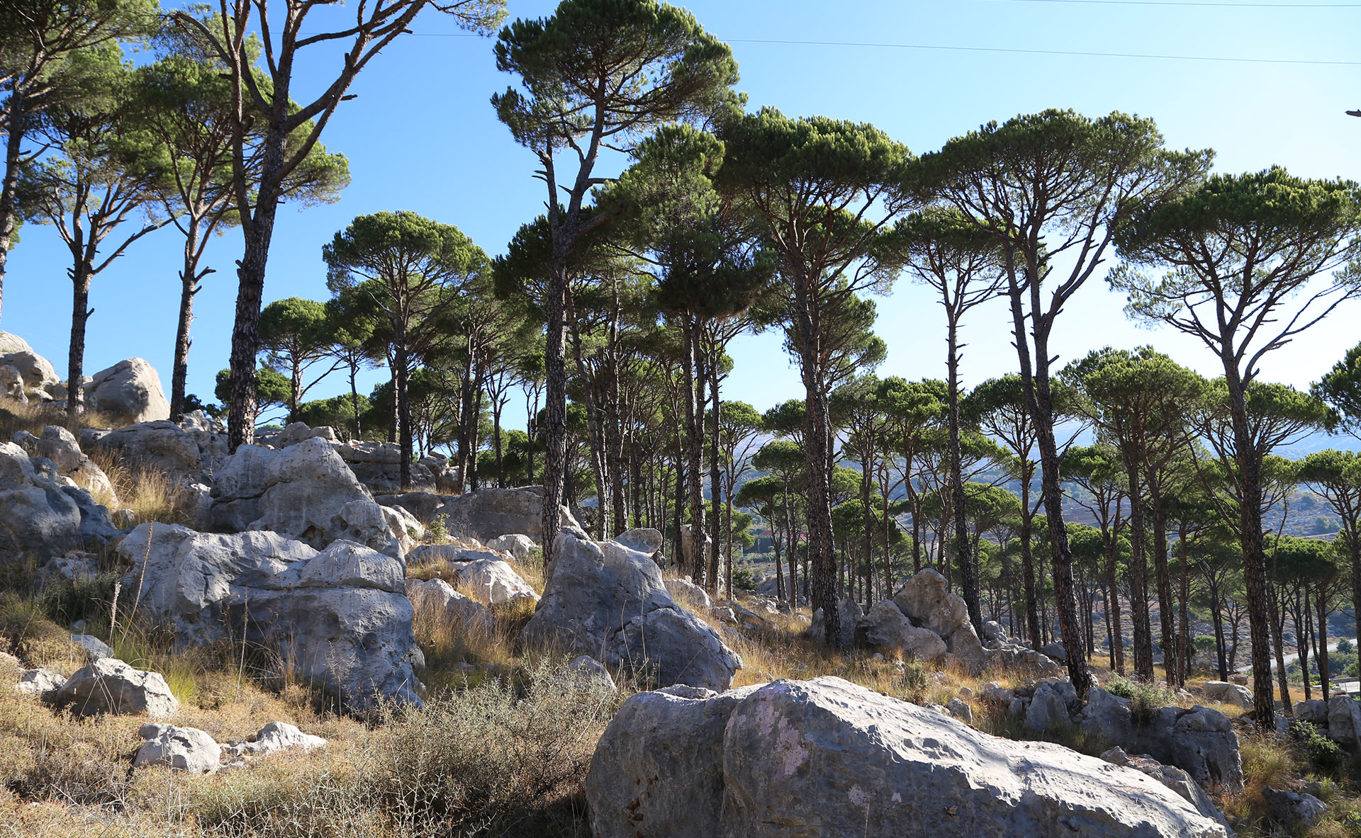 Cultural-Landscapes-7