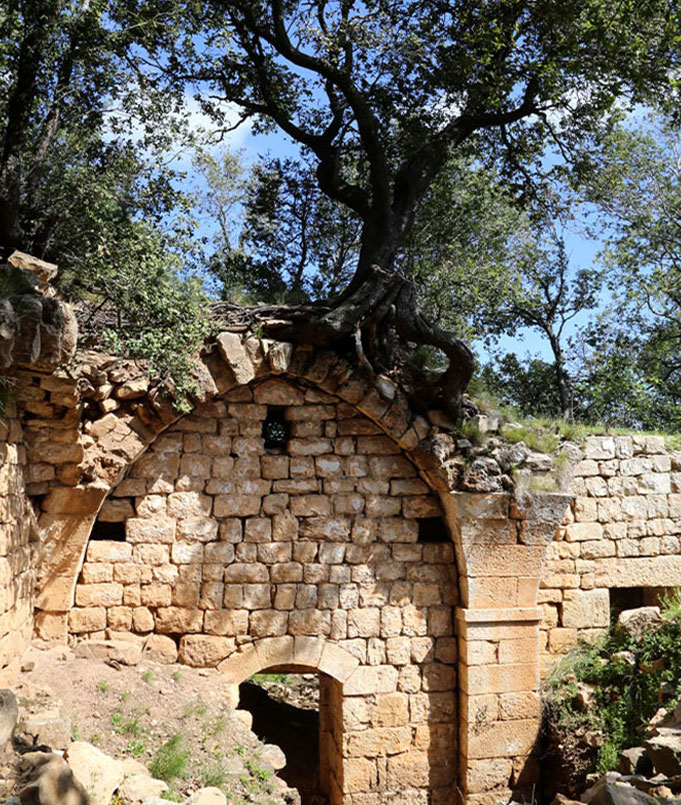 LMTF-Archaeological-Heritage-11