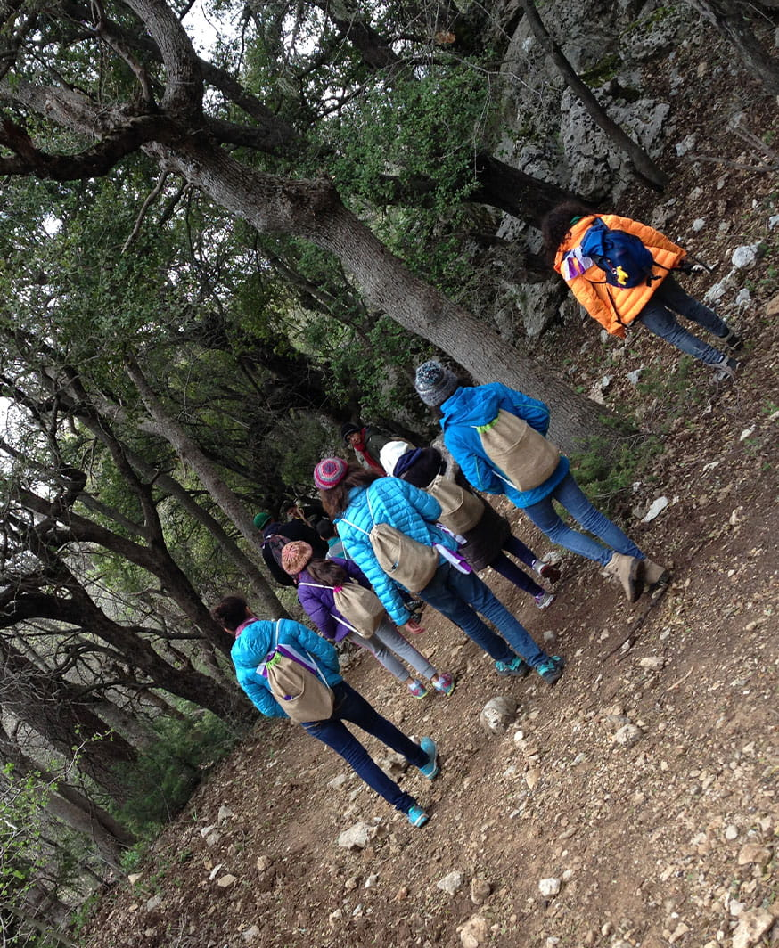 Mountain-explorers-4
