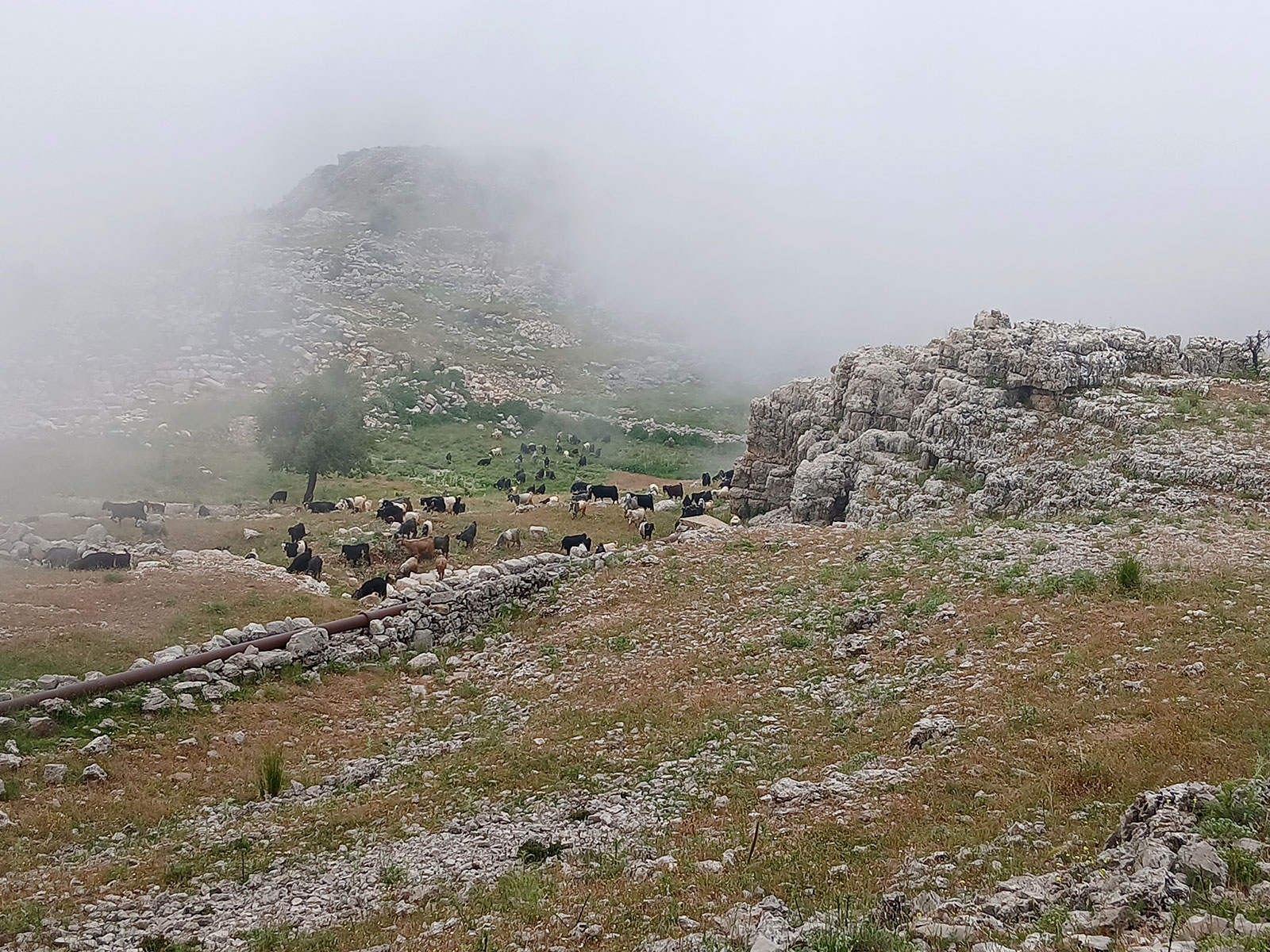 Rural-Agricultural-Heritage-1